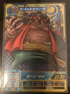 マーシャル・D・ティーチ TW2-60 7R ワンピートレジャーワールド