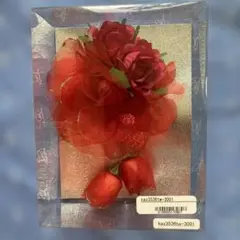 Item thumbnail for item f60d33bc-7d7a-408a-8d26-03dde3d4be24