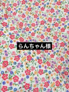 キャスキッドソン　小花柄　コットンダック