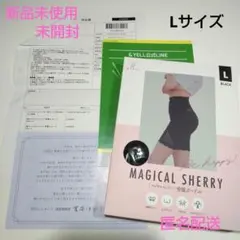 【新品未使用未開封】MAGICAL SHERRY 骨盤ガードル Lサイズ