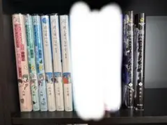BL漫画まとめ売り14冊