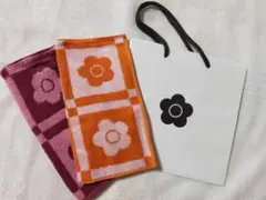 Item thumbnail for item 286115e3-0cde-434d-9526-7b101d641873