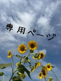 専用ページ