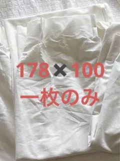 ‼️本日限定価格‼️