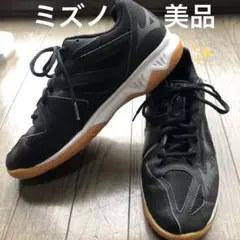 美品　室内用　スニーカー　バレーボール　体育館シューズ