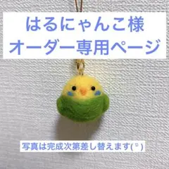 【専用】はるにゃんこ様オーダー