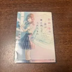 余命年の君が僕に残してくれたもの