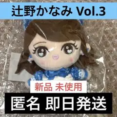新品 超ときめき♡宣伝部 辻野かなみ ときめきぬいぐるみキーホルダー vol.3 新品 超ときめき♡宣伝部 辻野かなみ ときめきぬいぐるみ
