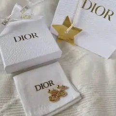 dior NAVYピアス