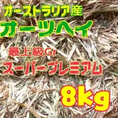 Item thumbnail for item a8396a16-fdf6-49e0-8bcf-acbeb450ceb8