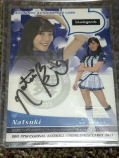 Item thumbnail for item e438ffbe-cfc1-4c0f-a607-35933df2bfc8