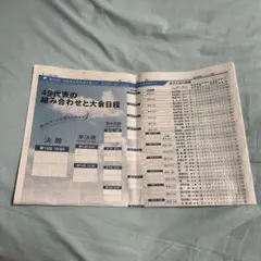 朝日新聞別刷り特集（甲子園球場で入手）