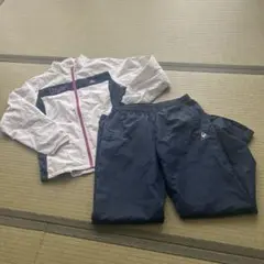 Item thumbnail for item 8718575d-fcab-4245-878b-69b4079436cf