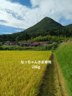 2025年最新】新米あきさかりの人気アイテム - メルカリ