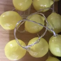 れもんおきもの