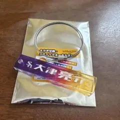 大津亮介　スティックキーホルダー