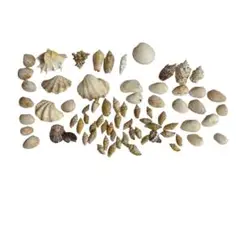 Item thumbnail for item c473efd1-3d64-4c82-ab6e-b168874d13f3