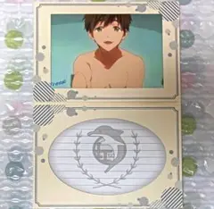 Free! メモリアルレター コレクション 橘真琴 1