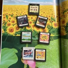 Nintendo DS ゲームソフト セット