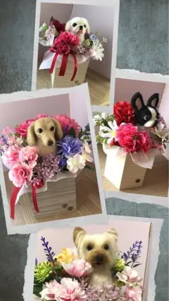 Item thumbnail for item e48357e2-8cbd-4d9f-8807-767cd857ea51