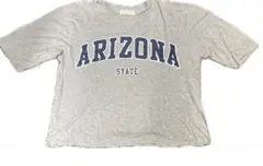 ARIZONA グレー Tシャツ サイズ4L 大きいサイズ