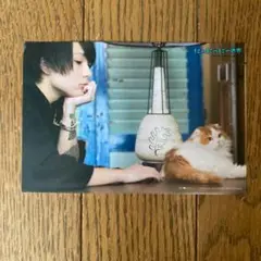 ワタナベマホト　ミニポストカード