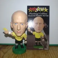 プロスターズシリーズのコッリーナ審判です プロスターズシリーズのコッリーナ審判です