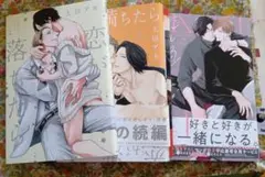 恋が落ちたらシリーズ3冊