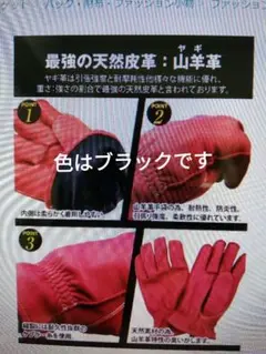 ブランド GIovesDEPO ブラック Lサイズ 未使用品