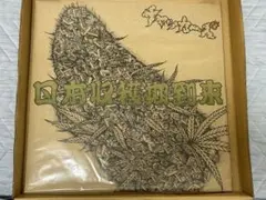 新品未使用　 チャッカーズ　日本収穫期到来　LP レコード