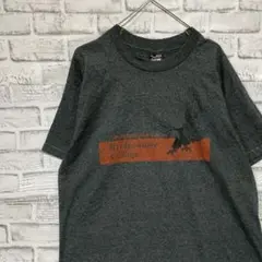 USA製90sヴィンテージTシャツ！シングルステッチ　グレー半袖古着　L 27