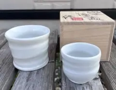 Item thumbnail for item 58d50ee8-4fda-4ef5-9162-f3c3e181039f