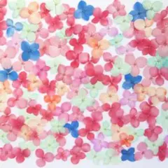 押し花素材：アナベル Sサイズ 着色（ 695 レジン パーツ ネイル）