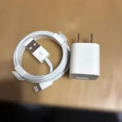 Apple LightningケーブルとACアダプタ