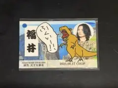 ナイトメアご当地トレカ&マグネット（福井）新弥Ni〜ya