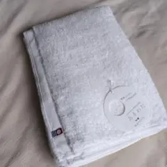 Item thumbnail for item c5381677-dab6-43c4-8412-247e233bde3b