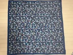 Item thumbnail for item efee9b1e-8f59-4786-a0ec-1b11b728cb2e