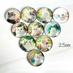 2.5cm 猫カボション 10個