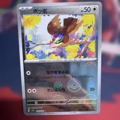 ポケモンカード ポツポ HP50