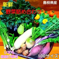 新鮮☆季節の野菜詰め合わせ☆大根、タアサイ、紅はるか、紅芯大根他☆100サイズ