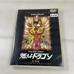 燃えよドラゴン 特別版