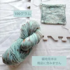 手染め毛糸 100ｇ ㉑25s ミントチョコ ソックヤーン 'ソフト'