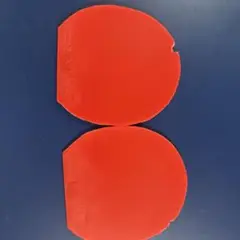 ディグニクス05赤特厚2枚