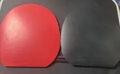 Nittaku ハモンドZ2（両面）
