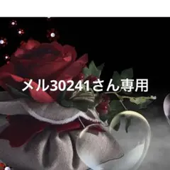 メル30241さん専用