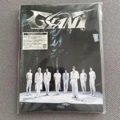 【開封済】 straykids GIANT B 初回限定盤B CD ZINE