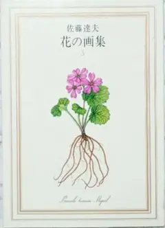 佐藤達夫　花の画集3