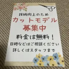 カットモデル募集中 無料 張り紙 A4 ラミネート加工済