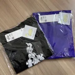 匿名配送ポケモンTシャツ120130新品未使用ゲンガーソウブレイズまとめ売り