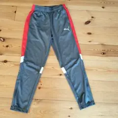 Puma グレー/レッド ストライプ 長ズボン
